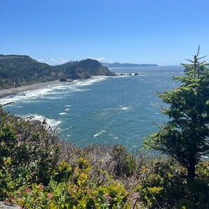 Meet your Posher, Mayson